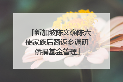 新加坡陈文确陈六使家族后裔返乡调研侨捐基金管理