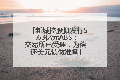 新城控股拟发行5.63亿元ABS：交易所已受理，为偿还美元债做准备