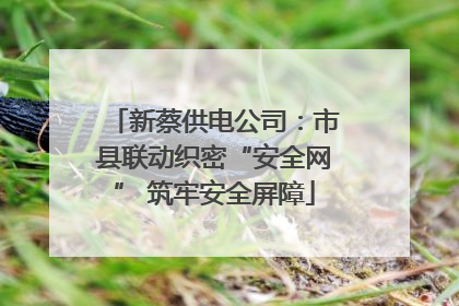 新蔡供电公司：市县联动织密“安全网” 筑牢安全屏障
