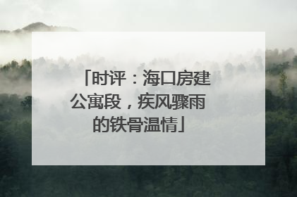 时评：海口房建公寓段，疾风骤雨的铁骨温情