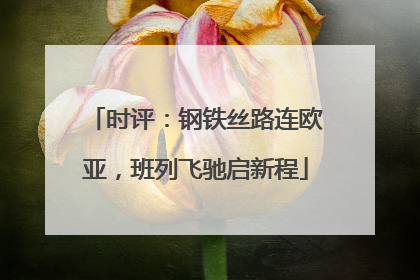时评：钢铁丝路连欧亚，班列飞驰启新程
