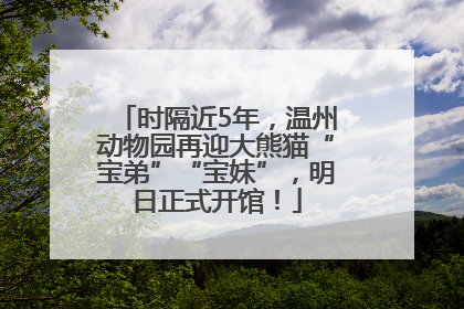 时隔近5年，温州动物园再迎大熊猫“宝弟”“宝妹”，明日正式开馆！