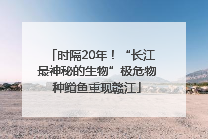 时隔20年！“长江最神秘的生物”极危物种鳤鱼重现赣江