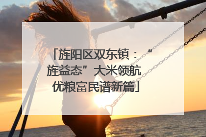 旌阳区双东镇：“旌益态”大米领航 优粮富民谱新篇