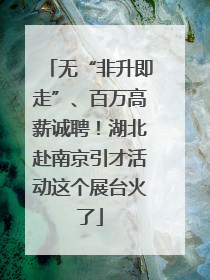 无“非升即走”、百万高薪诚聘！湖北赴南京引才活动这个展台火了