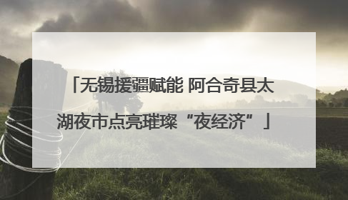 无锡援疆赋能 阿合奇县太湖夜市点亮璀璨“夜经济”