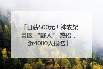 日薪500元！神农架景区 “野人” 热招，近4000人报名