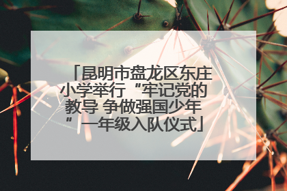 昆明市盘龙区东庄小学举行“牢记党的教导 争做强国少年”一年级入队仪式