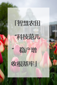 智慧农田“科技范儿” 稳产增收根基牢