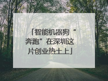 智能机器狗“奔跑”在深圳这片创业热土上
