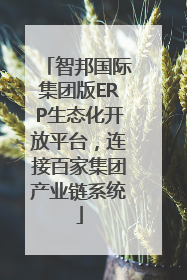 智邦国际集团版ERP生态化开放平台，连接百家集团产业链系统