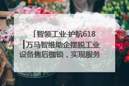 智领工业·护航618┃万马智维助企摆脱工业设备售后枷锁，实现服务与效能价值共振！