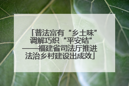 普法富有“乡土味” 调解巧织“平安结”——福建省司法厅推进法治乡村建设出成效