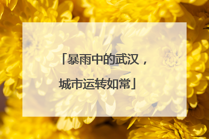 暴雨中的武汉，城市运转如常