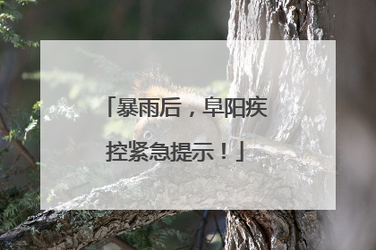 暴雨后，阜阳疾控紧急提示！