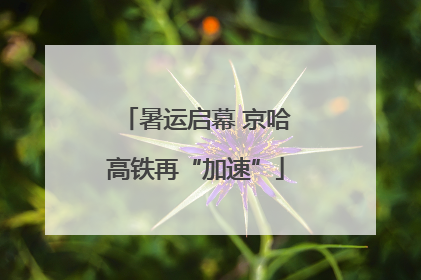 暑运启幕 京哈高铁再“加速”