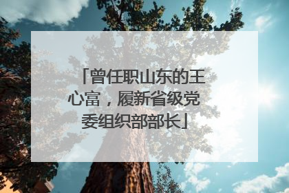曾任职山东的王心富，履新省级党委组织部部长