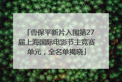 曹保平新片入围第27届上海国际电影节主竞赛单元，全名单揭晓