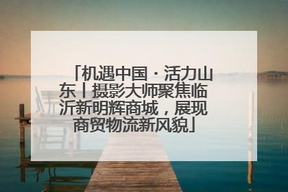 机遇中国・活力山东丨摄影大师聚焦临沂新明辉商城，展现商贸物流新风貌