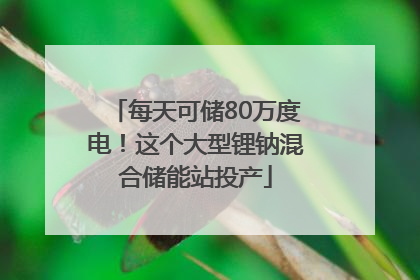 每天可储80万度电！这个大型锂钠混合储能站投产