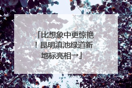 比想象中更惊艳！昆明滇池绿道新地标亮相→