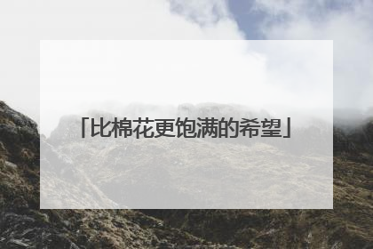 比棉花更饱满的希望