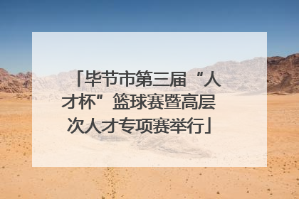 毕节市第三届“人才杯”篮球赛暨高层次人才专项赛举行