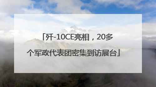 歼-10CE亮相，20多个军政代表团密集到访展台