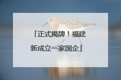 正式揭牌！福建新成立一家国企