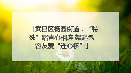 武昌区杨园街道：“特殊”踏青心相连 架起包容友爱“连心桥”