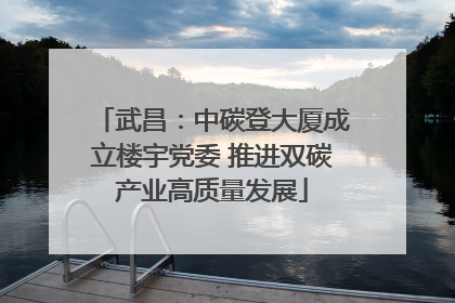 武昌：中碳登大厦成立楼宇党委 推进双碳产业高质量发展