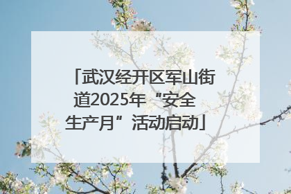 武汉经开区军山街道2025年“安全生产月”活动启动
