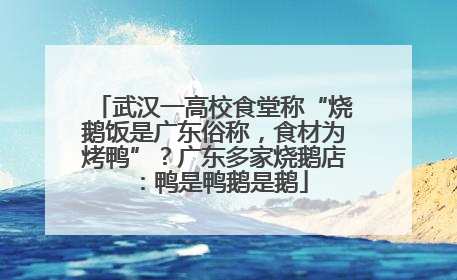 武汉一高校食堂称“烧鹅饭是广东俗称，食材为烤鸭”？广东多家烧鹅店：鸭是鸭鹅是鹅