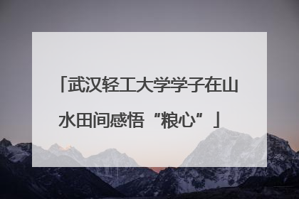 武汉轻工大学学子在山水田间感悟“粮心”