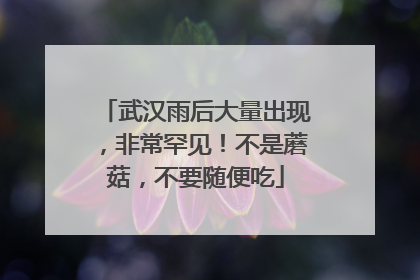 武汉雨后大量出现，非常罕见！不是蘑菇，不要随便吃
