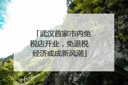 武汉首家市内免税店开业，免退税经济或成新风潮