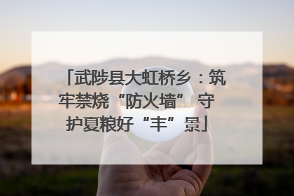 武陟县大虹桥乡：筑牢禁烧“防火墙” 守护夏粮好“丰”景
