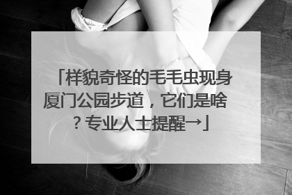 样貌奇怪的毛毛虫现身厦门公园步道，它们是啥？专业人士提醒→