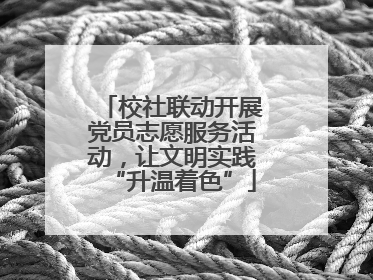 校社联动开展党员志愿服务活动，让文明实践“升温着色”