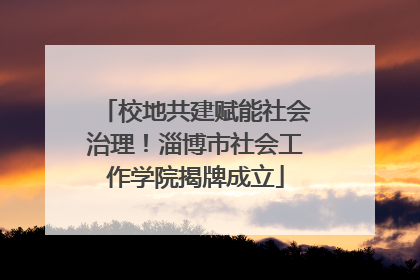 校地共建赋能社会治理！淄博市社会工作学院揭牌成立