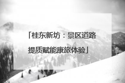 桂东新坊：景区道路提质赋能康旅体验