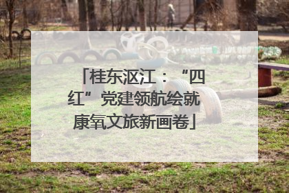 桂东沤江：“四红”党建领航绘就康氧文旅新画卷
