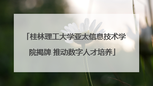 桂林理工大学亚太信息技术学院揭牌 推动数字人才培养