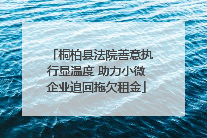 桐柏县法院善意执行显温度 助力小微企业追回拖欠租金