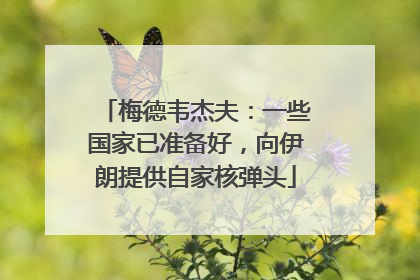 梅德韦杰夫：一些国家已准备好，向伊朗提供自家核弹头