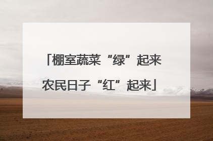 棚室蔬菜“绿”起来 农民日子“红”起来