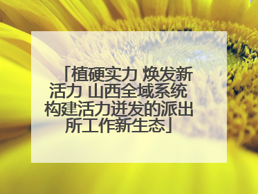 植硬实力 焕发新活力 山西全域系统构建活力迸发的派出所工作新生态
