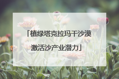 植绿塔克拉玛干沙漠 激活沙产业潜力