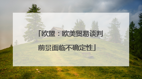 欧盟：欧美贸易谈判前景面临不确定性
