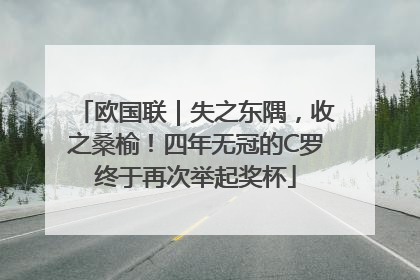 欧国联｜失之东隅，收之桑榆！四年无冠的C罗终于再次举起奖杯